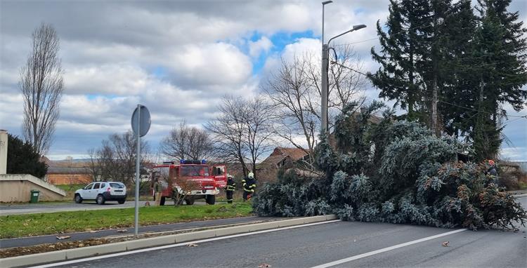 Slika /slike/dvd brestovac.jpg